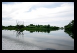 Tulcea - Lac Lunca - Lac Alb - Lac Fortuna - Mila23 -12-05-2013 - Bogdan Balaban