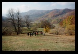 Buzaului -11-11-2012 - Bogdan Balaban