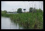 Mila23 - Lac Ledeanca - Lac Furtuna - Lac Baclanestii Mari - Canal Magistral Pardina-Stipoc - Mila 23 -15-05-2013 - Bogdan Balaban