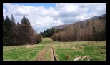 7 Scari -05-04-2025 - Bogdan Balaban
