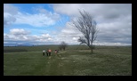 Ariusd -30-03-2025 - Bogdan Balaban