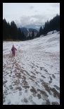 Bucegi - Andolia -01-02-2026 - Bogdan Balaban