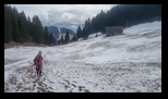 Bucegi - Andolia -01-02-2026 - Bogdan Balaban