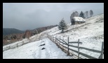 Bucegi - Culmea Bisericutei -31-01-2026 - Bogdan Balaban
