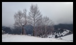 Bucegi - Culmea Bisericutei -31-01-2026 - Bogdan Balaban