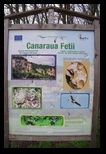 Canaraua Fetii -19-03-2016 - Bogdan Balaban