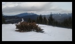 Clabucetul Taurului -06-01-2026 - Bogdan Balaban