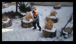 Diham -26-01-2025 - Bogdan Balaban