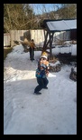 Diham -26-01-2025 - Bogdan Balaban