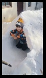 Diham -26-01-2025 - Bogdan Balaban