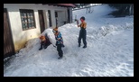 Diham -26-01-2025 - Bogdan Balaban