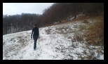 Magura Codlei -04-01-2025 - Bogdan Balaban