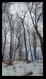Magura Codlei -04-01-2025 - Bogdan Balaban