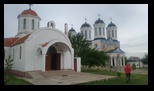 Padurea Babadag -17-05-2026 - Bogdan Balaban