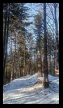 Piatra Mare -14-12-2024 - Bogdan Balaban