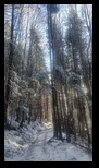 Piatra Mare -14-12-2024 - Bogdan Balaban