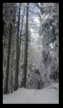 Piatra Mare -14-12-2024 - Bogdan Balaban