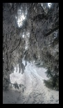 Piatra Mare -14-12-2024 - Bogdan Balaban