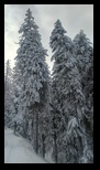 Piatra Mare -14-12-2024 - Bogdan Balaban