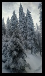 Piatra Mare -14-12-2024 - Bogdan Balaban