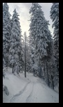 Piatra Mare -14-12-2024 - Bogdan Balaban