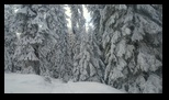 Piatra Mare -14-12-2024 - Bogdan Balaban