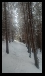 Piatra Mare -14-12-2024 - Bogdan Balaban