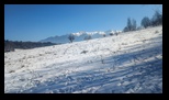 Simon -23-02-2025 - Bogdan Balaban