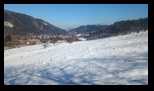 Simon -23-02-2025 - Bogdan Balaban
