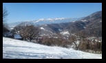 Simon -23-02-2025 - Bogdan Balaban
