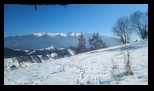 Simon -23-02-2025 - Bogdan Balaban