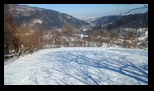 Simon -23-02-2025 - Bogdan Balaban