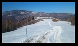 Simon -23-02-2025 - Bogdan Balaban