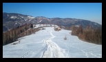 Simon -23-02-2025 - Bogdan Balaban