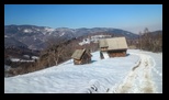Simon -23-02-2025 - Bogdan Balaban