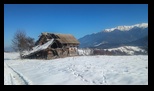 Simon -23-02-2025 - Bogdan Balaban