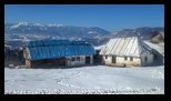 Simon -23-02-2025 - Bogdan Balaban