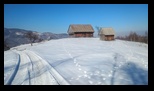 Simon -23-02-2025 - Bogdan Balaban
