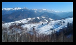 Simon -23-02-2025 - Bogdan Balaban
