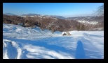 Simon -23-02-2025 - Bogdan Balaban