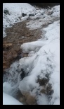 Valea Sipoaia -01-01-2026 - Bogdan Balaban