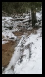 Valea Sipoaia -01-01-2026 - Bogdan Balaban