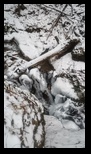 Valea Sipoaia -01-01-2026 - Bogdan Balaban