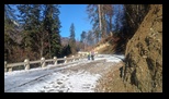 Valea Timisului -02-01-2025 - Bogdan Balaban
