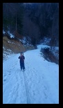 Valea Timisului -02-01-2025 - Bogdan Balaban