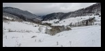 Valea Urdii -20-01-2024 - Bogdan Balaban
