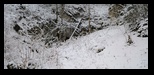 Valea Urdii -20-01-2024 - Bogdan Balaban