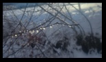 Via Transilvanica Bran - Rasnov -10-01-2026 - Bogdan Balaban