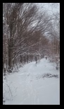 Via Transilvanica Bran - Rasnov -10-01-2026 - Bogdan Balaban