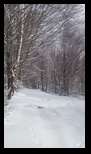 Via Transilvanica Bran - Rasnov -10-01-2026 - Bogdan Balaban